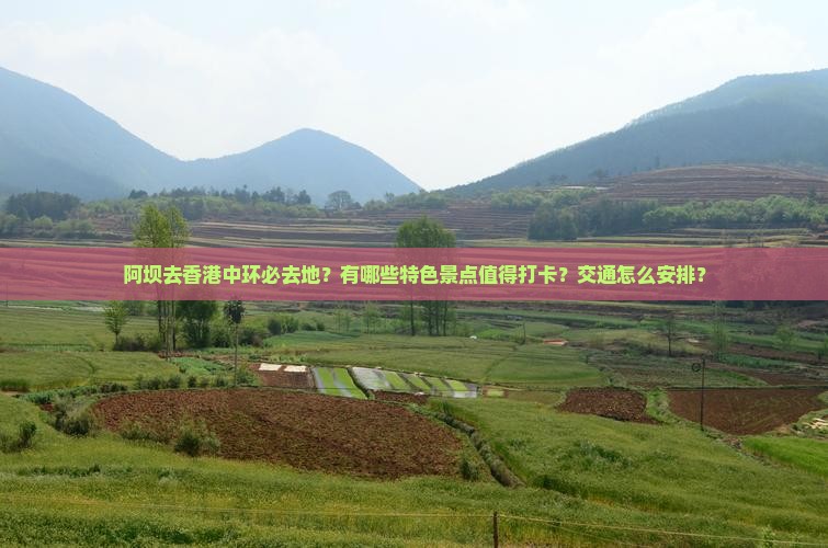 阿坝去香港中环必去地？有哪些特色景点值得打卡？交通怎么安排？