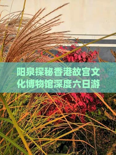 阳泉探秘香港故宫文化博物馆深度六日游之旅