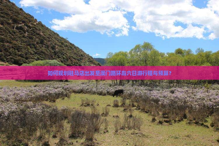如何规划驻马店出发至澳门路环岛六日游行程与预算？