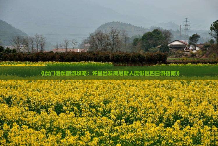 《澳门港澳旅游攻略：许昌出发威尼斯人度假区四日游指南》