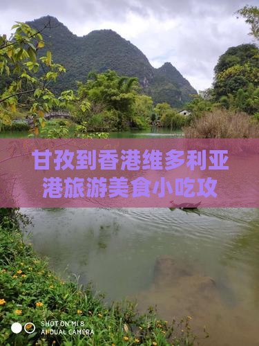 甘孜到香港维多利亚港旅游美食小吃攻略