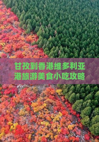 甘孜到香港维多利亚港旅游美食小吃攻略