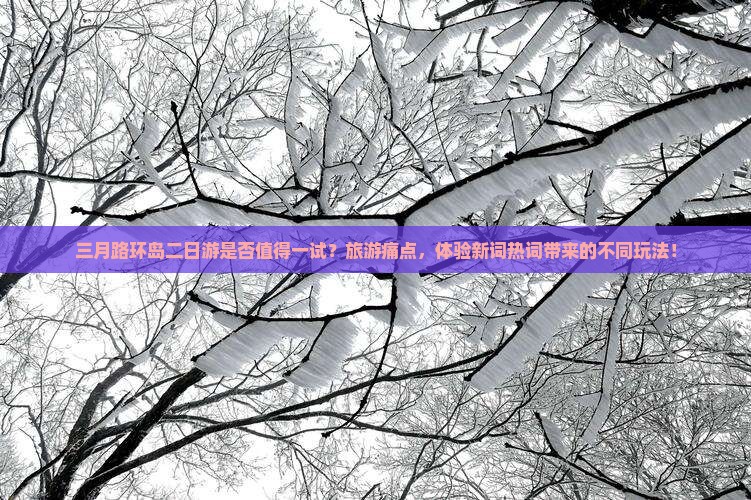 三月路环岛二日游是否值得一试？旅游痛点，体验新词热词带来的不同玩法！