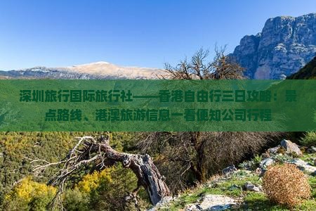 深圳旅行国际旅行社——香港自由行三日攻略：景点路线、港澳旅游信息一看便知公司行程