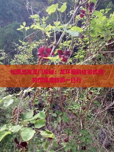 松原出发澳门探秘：龙环葡韵住宅式博物馆深度旅游一日行