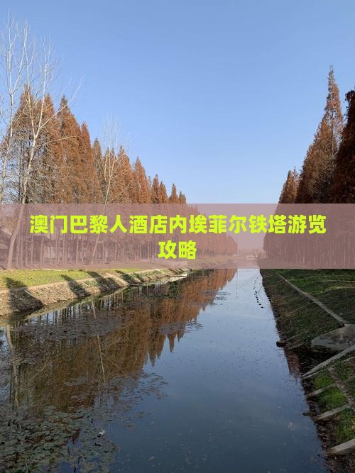 澳门巴黎人酒店内埃菲尔铁塔游览攻略