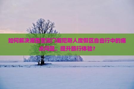 如何解决湘西至澳门威尼斯人度假区自由行中的痛点问题，提升旅行体验？