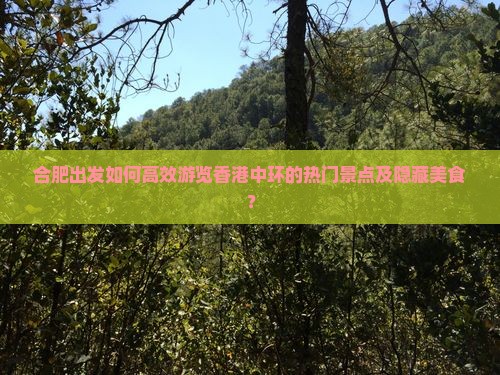 合肥出发如何高效游览香港中环的热门景点及隐藏美食？