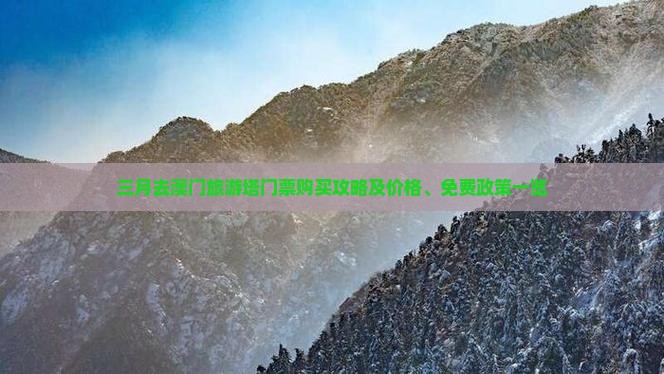 三月去澳门旅游塔门票购买攻略及价格、免费政策一览