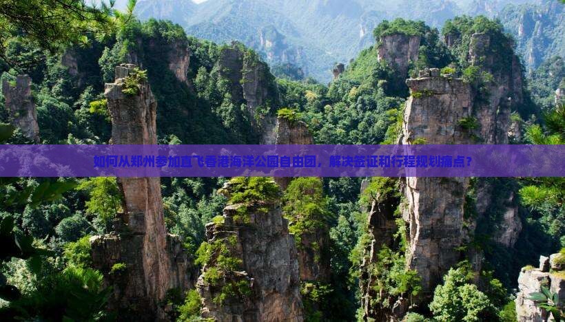 如何从郑州参加直飞香港海洋公园自由团，解决签证和行程规划痛点？