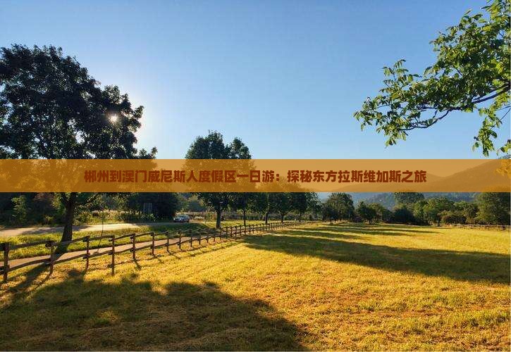 郴州到澳门威尼斯人度假区一日游：探秘东方拉斯维加斯之旅