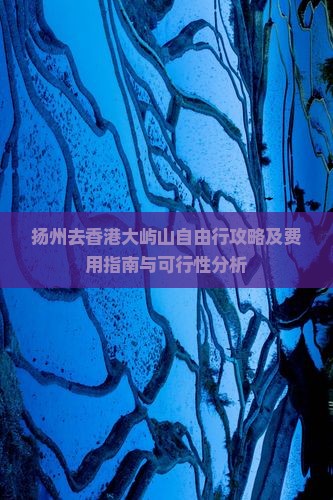 扬州去香港大屿山自由行攻略及费用指南与可行性分析