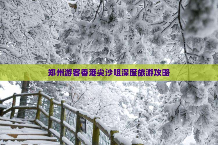 郑州游客香港尖沙咀深度旅游攻略