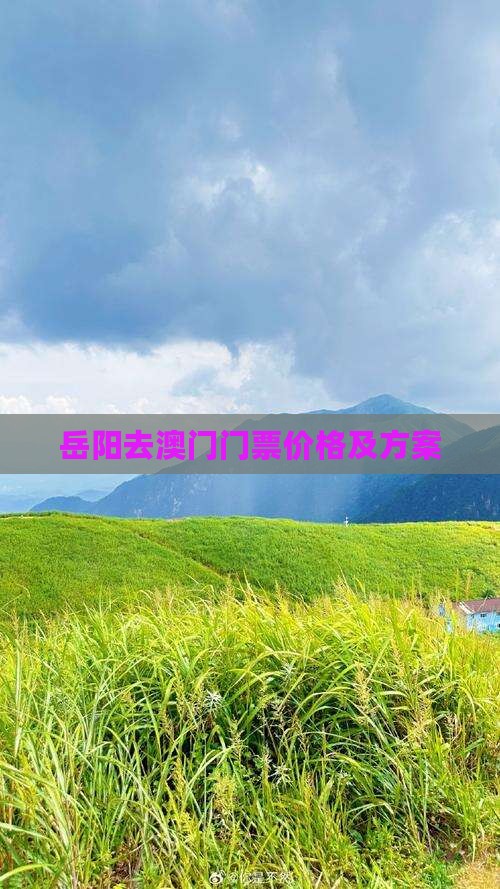 岳阳去澳门门票价格及方案