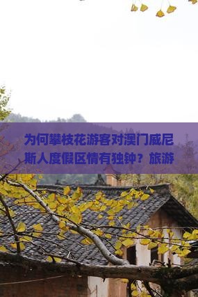 为何攀枝花游客对澳门威尼斯人度假区情有独钟？旅游新痛点与热词背后的！