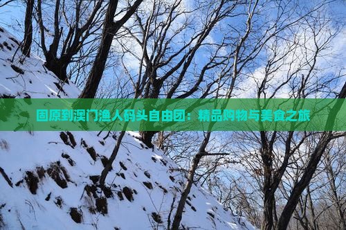 固原到澳门渔人码头自由团：精品购物与美食之旅
