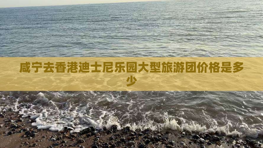 咸宁去香港迪士尼乐园大型旅游团价格是多少