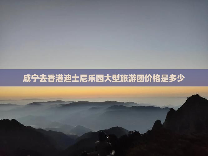 咸宁去香港迪士尼乐园大型旅游团价格是多少
