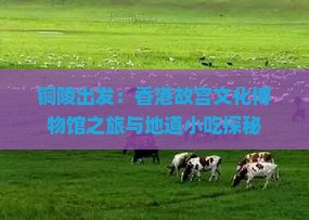 铜陵出发：香港故宫文化博物馆之旅与地道小吃探秘