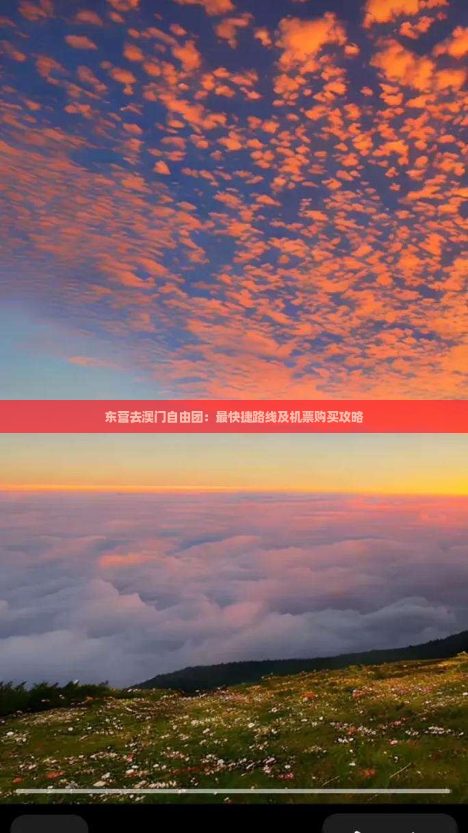 东营去澳门自由团：最快捷路线及机票购买攻略