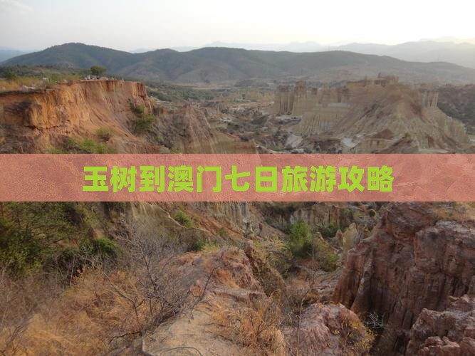 玉树到澳门七日旅游攻略