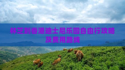 林芝到香港迪士尼乐园自由行攻略及费用路线