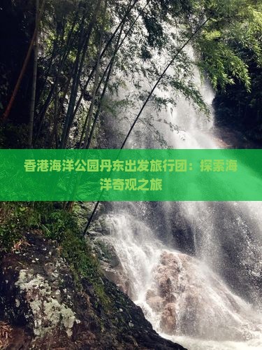 香港海洋公园丹东出发旅行团：探索海洋奇观之旅