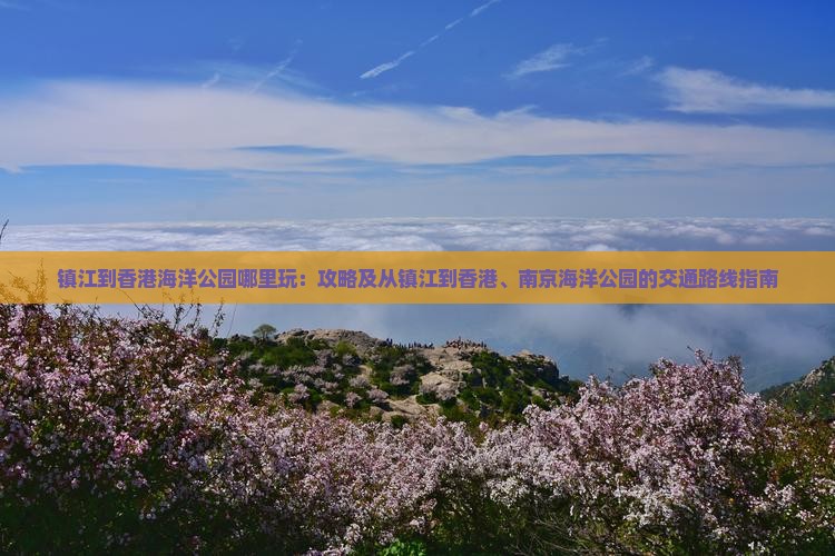 镇江到香港海洋公园哪里玩：攻略及从镇江到香港、南京海洋公园的交通路线指南