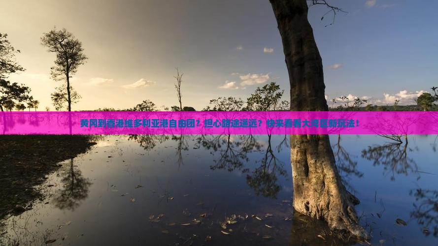 黄冈到香港维多利亚港自由团？担心路途遥远？快来看看大湾区新玩法！