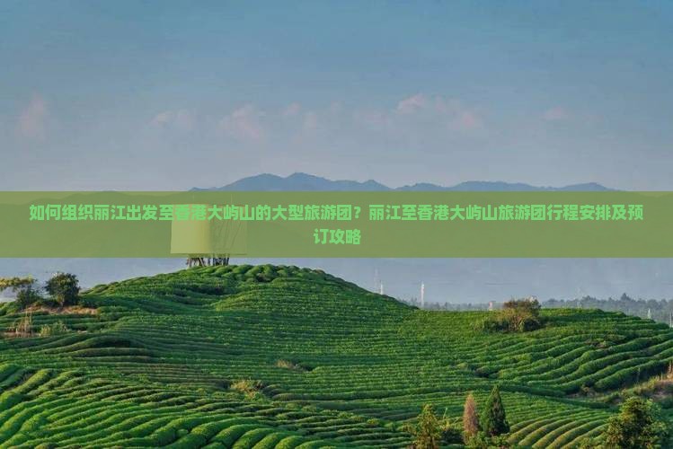如何组织丽江出发至香港大屿山的大型旅游团？丽江至香港大屿山旅游团行程安排及预订攻略