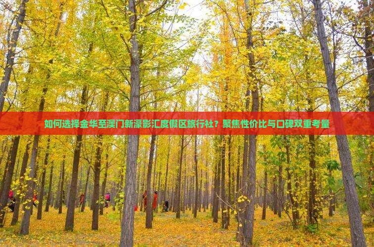 如何选择金华至澳门新濠影汇度假区旅行社？聚焦性价比与口碑双重考量