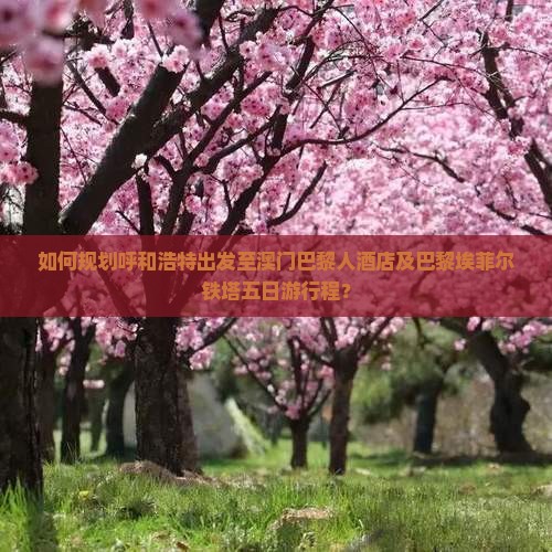 如何规划呼和浩特出发至澳门巴黎人酒店及巴黎埃菲尔铁塔五日游行程？