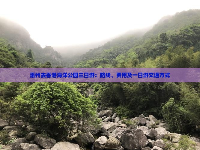 惠州去香港海洋公园三日游：路线、费用及一日游交通方式
