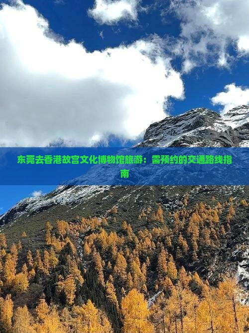 东莞去香港故宫文化博物馆旅游：需预约的交通路线指南