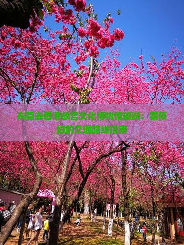 东莞去香港故宫文化博物馆旅游：需预约的交通路线指南