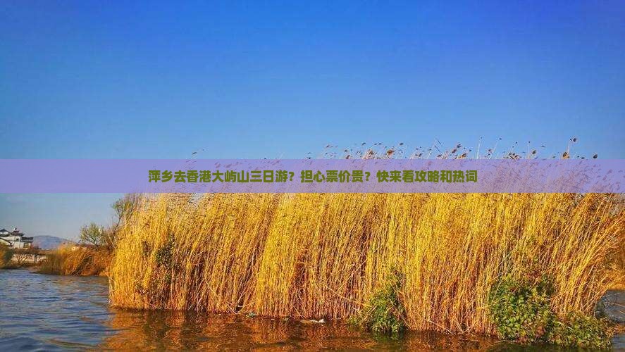 萍乡去香港大屿山三日游？担心票价贵？快来看攻略和热词