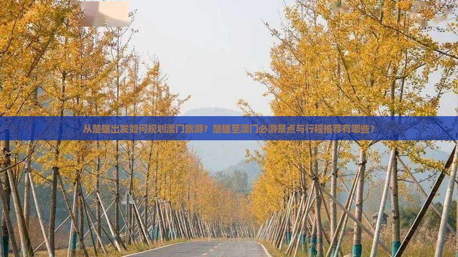从楚雄出发如何规划澳门旅游？楚雄至澳门必游景点与行程推荐有哪些？