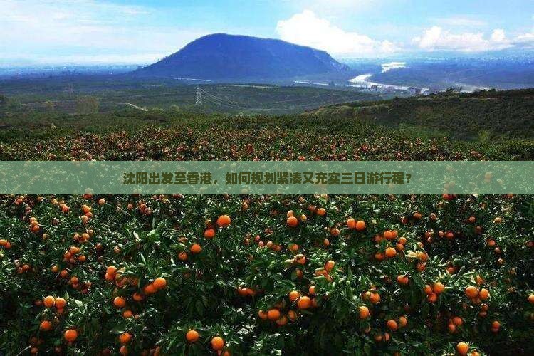 沈阳出发至香港，如何规划紧凑又充实三日游行程？