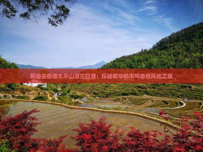 那曲去香港太平山顶三日游：探秘繁华都市与自然风光之旅