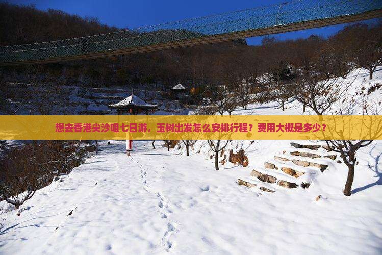 想去香港尖沙咀七日游，玉树出发怎么安排行程？费用大概是多少？
