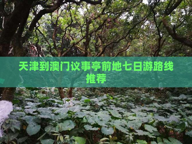 天津到澳门议事亭前地七日游路线推荐