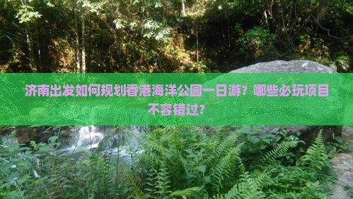 济南出发如何规划香港海洋公园一日游？哪些必玩项目不容错过？