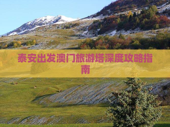 泰安出发澳门旅游塔深度攻略指南