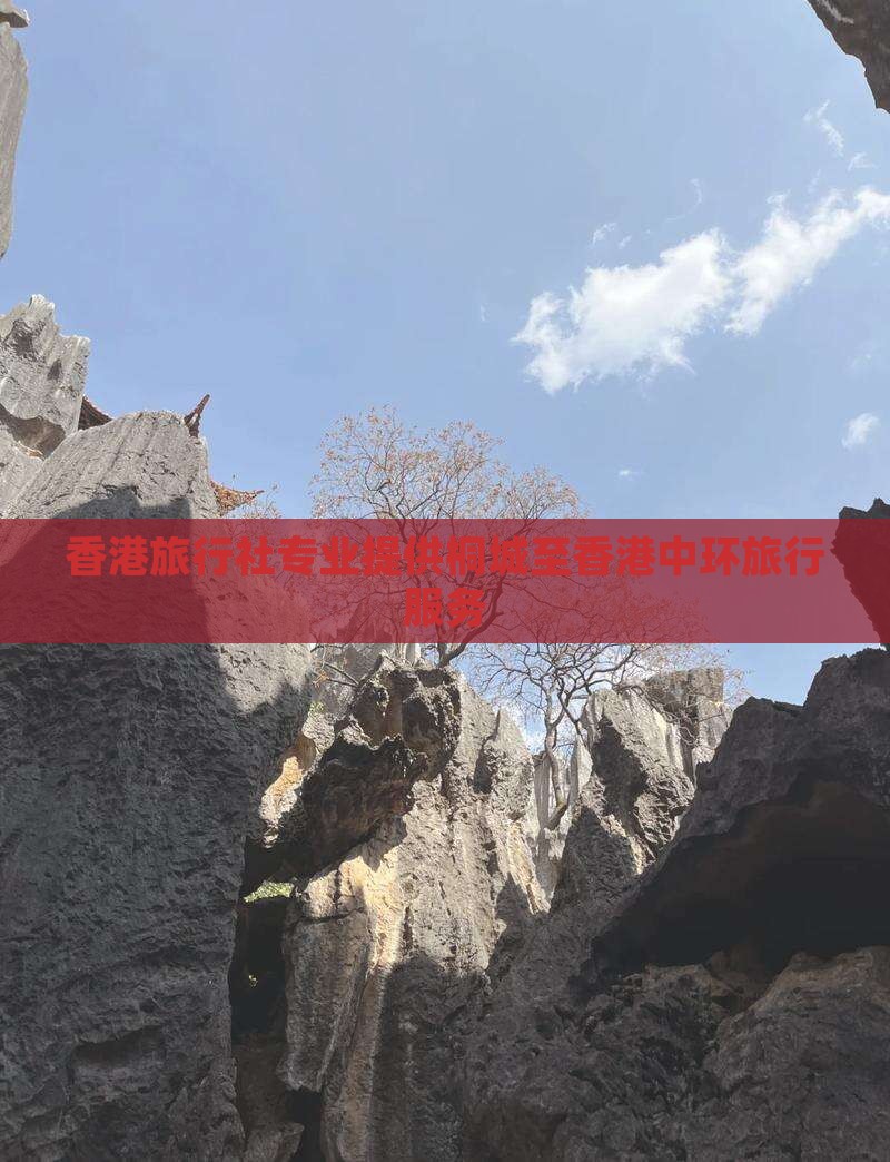 香港旅行社专业提供桐城至香港中环旅行服务