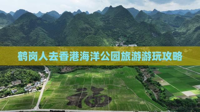 鹤岗人去香港海洋公园旅游游玩攻略