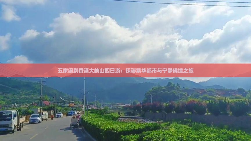 五家渠到香港大屿山四日游：探秘繁华都市与宁静佛境之旅