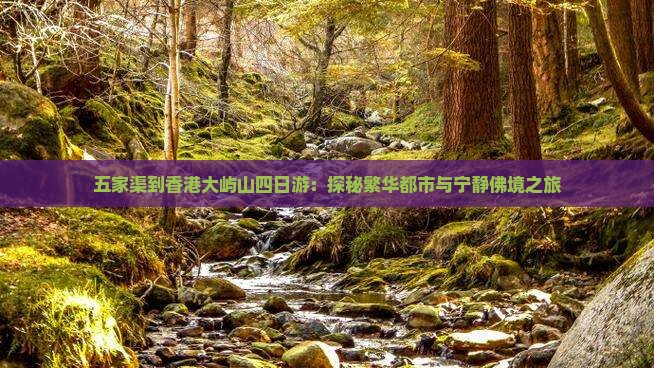 五家渠到香港大屿山四日游：探秘繁华都市与宁静佛境之旅