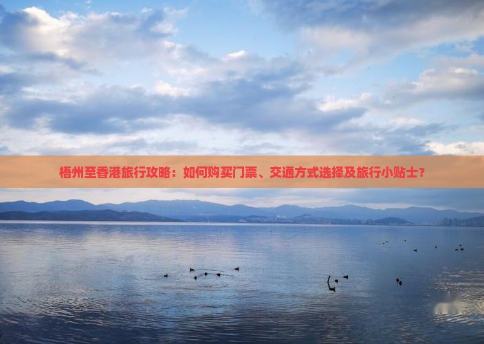 梧州至香港旅行攻略：如何购买门票、交通方式选择及旅行小贴士？