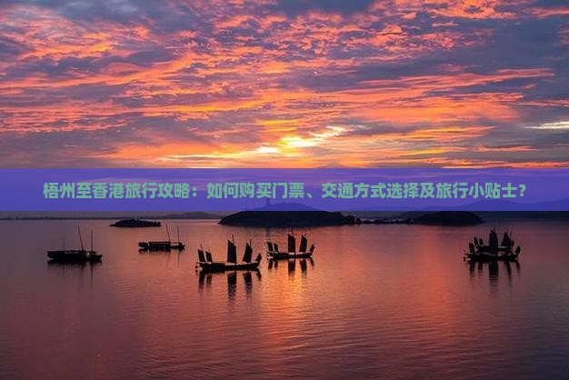 梧州至香港旅行攻略：如何购买门票、交通方式选择及旅行小贴士？