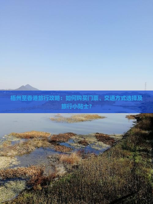 梧州至香港旅行攻略：如何购买门票、交通方式选择及旅行小贴士？